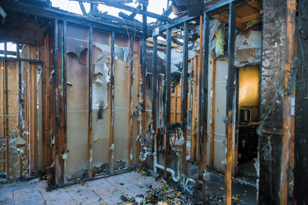 Professional Odor Removal technician working in New Chicago, IN